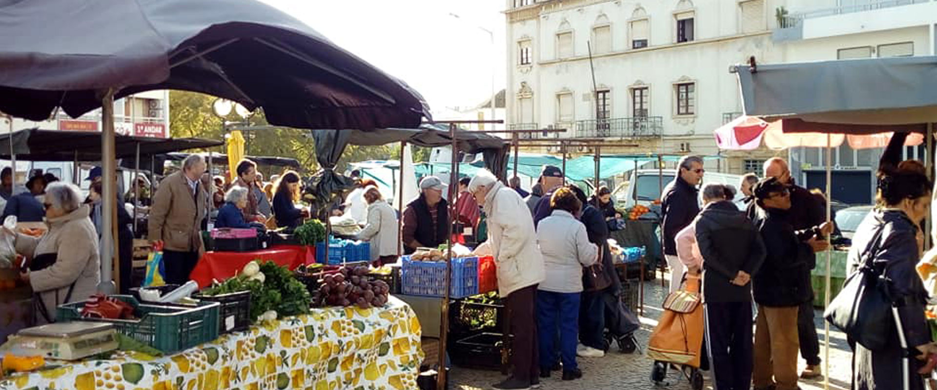 Vegetable Market in Faro