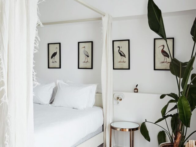Pick your room, set your mood! #guesthouse #holiday #bedandbreakfast #boutiquehotels #pension  #gayfriendly #faroportugal #faroalgarve #algarve #visitalgarve #portugal #visitportugal #bookingcom #travelwriter #travel #gaytravel #gayportugal #urlaub #gayurlaub #gayreisen #reisen #tourisme #solotravel #gayinstagram #instagay #instatravel